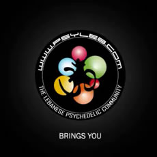 Forest Frequencies 2012 Teaser